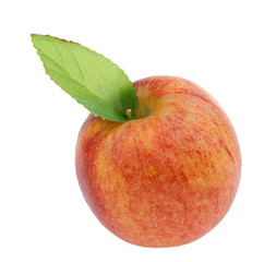 Red apple isolated