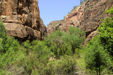 Zion National Park in Utah USA