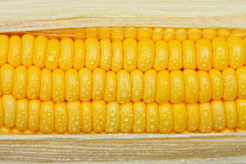 Bright color sweet corn