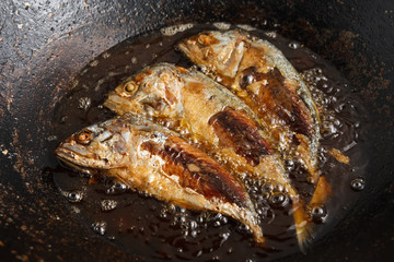 Fish frying in hot oil