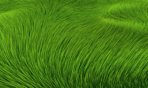 Wind im Gras - Hintergrund