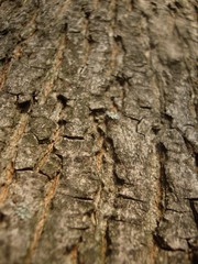 Фон и Текстура