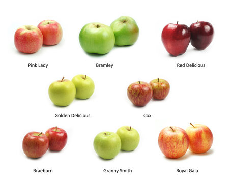 Collection of apple varieties