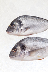 rohe Brassen auf crushed ice