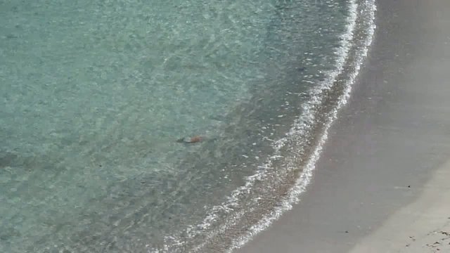 essenza di mare