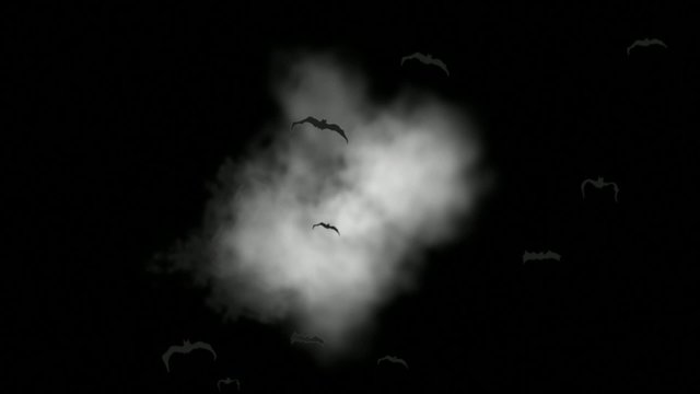 Vampire Bats flying out of night sky
