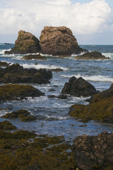 Fototapeta premium St Abbs, East Coast of Scotland