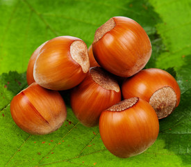 Hazelnut