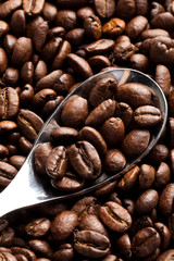 Coffee Bean