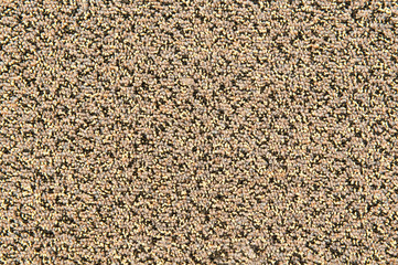 abstract background carpet texture close up