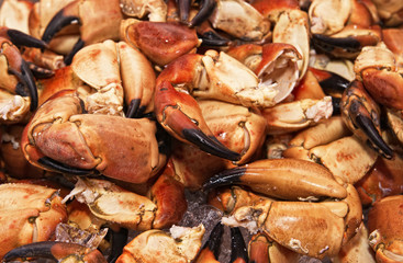 Claws of a huge crab. The fish market. Bergen. Norway.