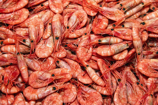 Shrimps. The fish market. Bergen. Norway.