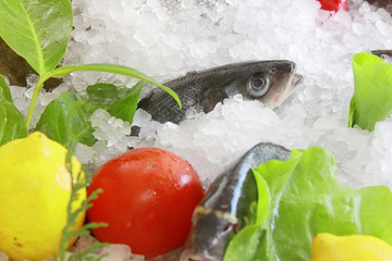 fresh fish on ice