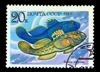 Naklejka premium USSR - CIRCA 1983