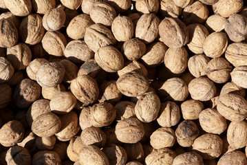 walnuts