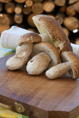 autumn fruits of the wood