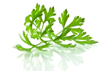 Fresh Parsley
