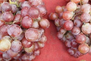 葡萄