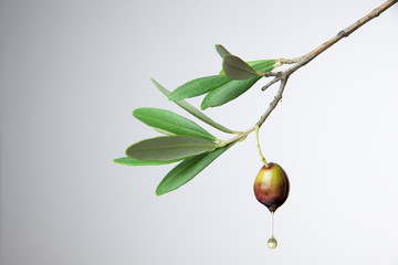 goccia di olio