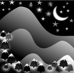 Fototapeta premium Starry Snowy Clear Night Scene