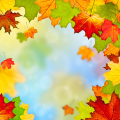 Frame of colorful autumn leaves
