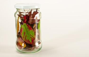 Eingeweckte Herbst für Winter