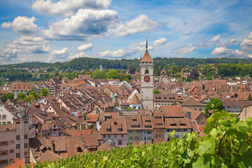 Fototapeta premium Summer in Schaffhausen