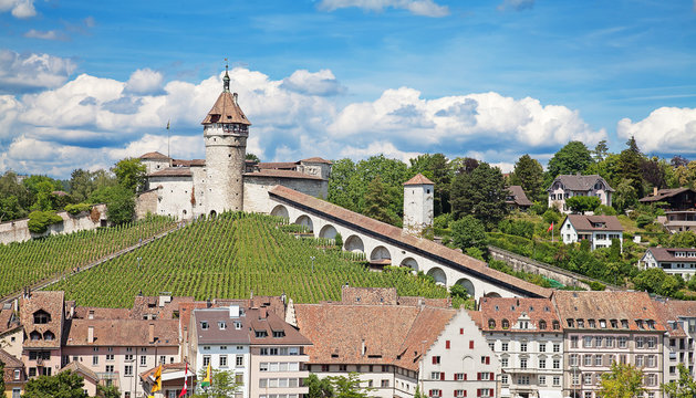 Summer in Schaffhausen