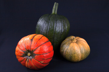Drei Kürbisse ioliert auf Schwarz