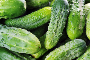 green cucumbers.