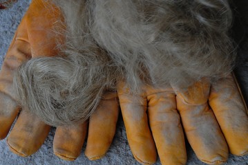 Obraz premium Guanti da lavoro