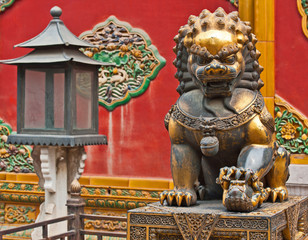Lioness keeping sentry, China