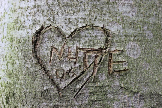 Entt&auml;uschte Liebe