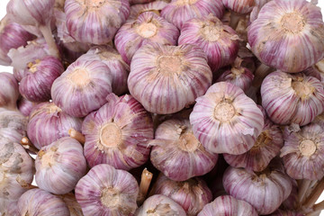 Background of garlic
