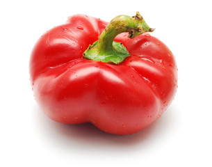 bell pepper
