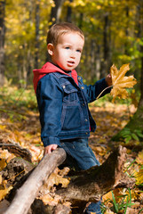 Cute boy and falling leaves