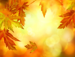 Naklejka na ściany i meble Autumn Abstract Background