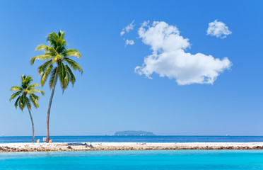 Fototapeta na wymiar Palm trees on tropical island at ocean.