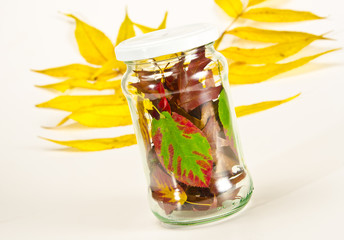 Eingeweckte Herbst für Winter