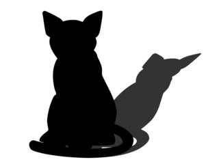 Black cat and his shadow