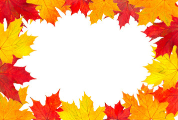 Autumn leaves frame