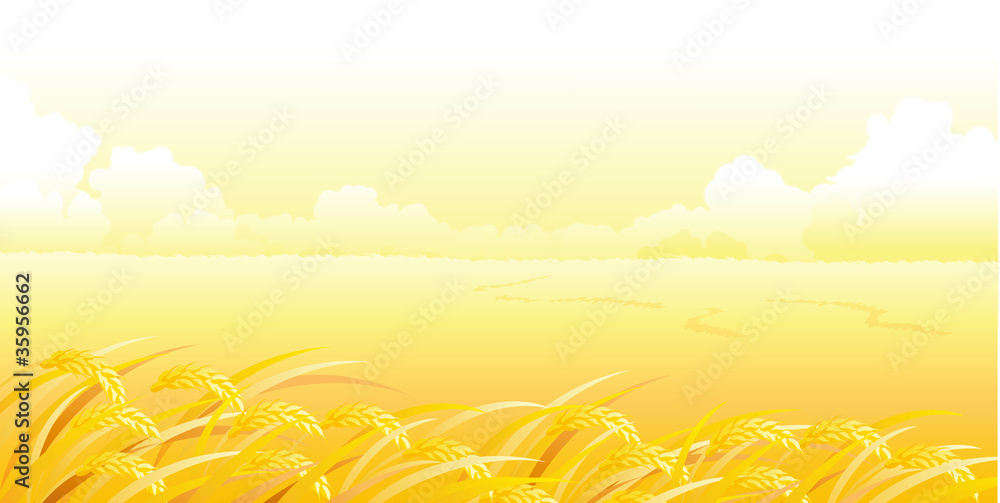 Poster Wheat Field and landscape