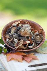 Dried Asia Mushrooms