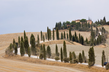 siena