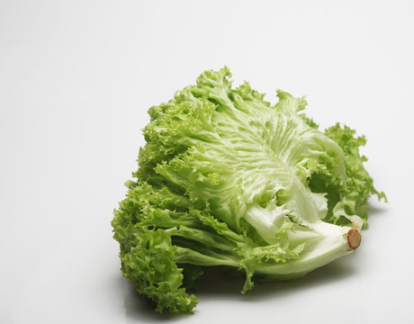 Lechuga