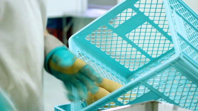 Fresh Bread Delivery