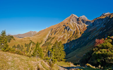Berge im Rappenalptal