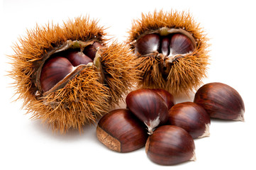 Chestnuts isolated on white