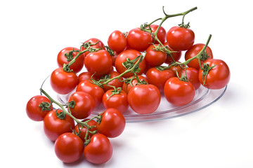 tomatoes