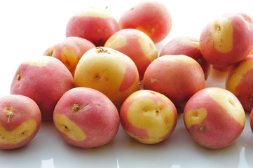 Pomme de terre oeil de perdrix